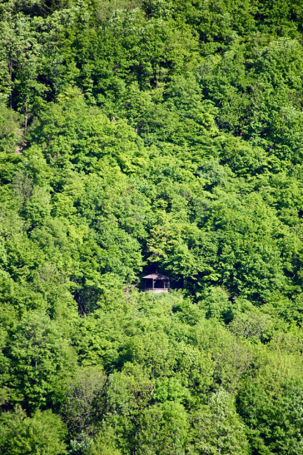 Das Aussichtshaus im Wald